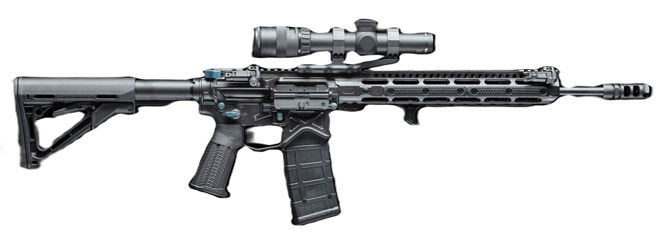 Warrior Series AR-15