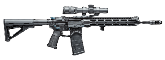 Warrior Series AR-15
